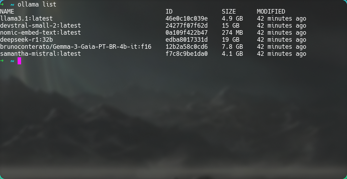 llms1-ollama-list.png